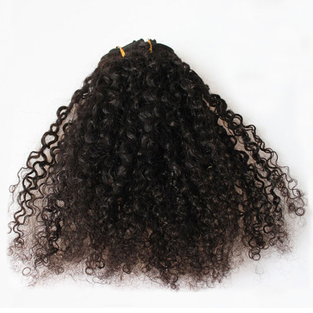 Mongolian Kinky Curly Clip Ins Human Hair